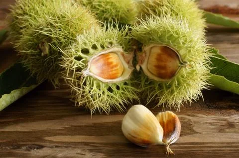 Chestnuts Stock Photos