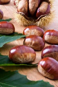 Chestnuts Stock Photos