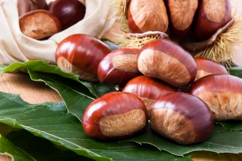 Chestnuts Stock Photos
