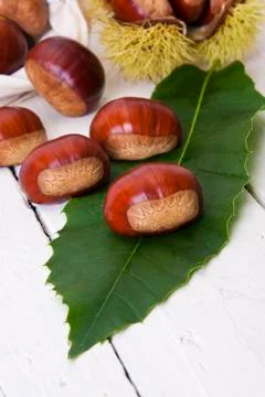 Chestnuts 스톡 사진