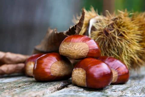 Chestnuts Foto stock
