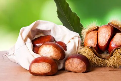 Chestnuts Stock Photos