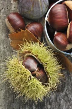 Chestnuts Foto stock