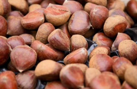 Chestnuts Stock Photos