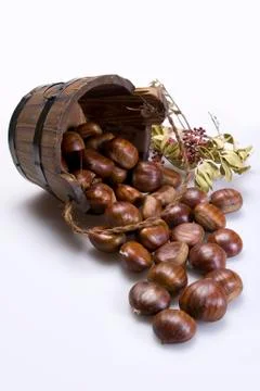 Chestnuts Stock Photos