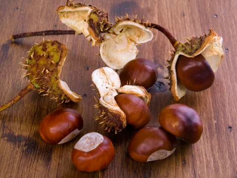Chestnuts Stock Photos