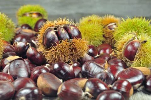 Chestnuts Stock Photos