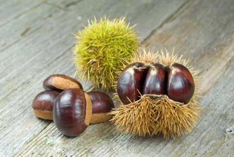 Chestnuts Stock Photos