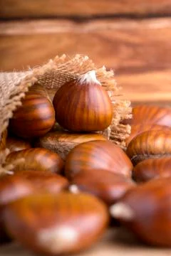 Chestnuts Stock Photos