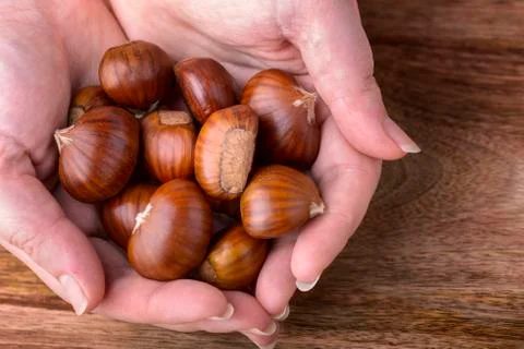 Chestnuts Fotos Stock