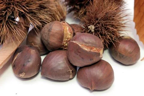 Chestnuts Stock Photos