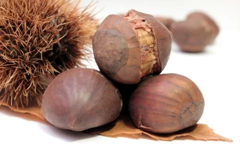 Chestnuts Stock Photos