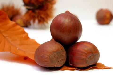 Chestnuts Stock Photos