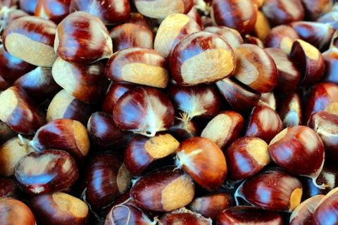 Chestnuts Stock Photos