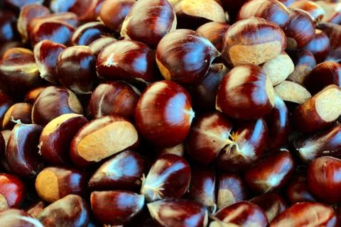 Chestnuts Stock Photos