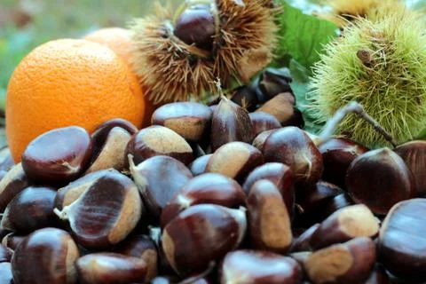 Chestnuts Stockfoto's