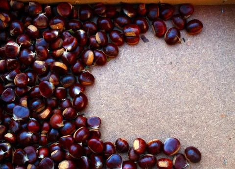 Chestnuts Stock Photos