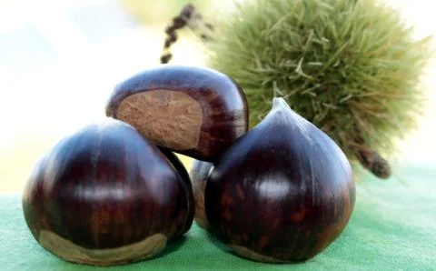 Chestnuts Stock Photos