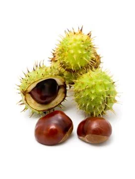 Chestnuts Stock Photos