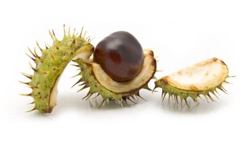 Chestnuts Stock Photos
