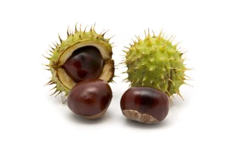 Chestnuts Stock Photos