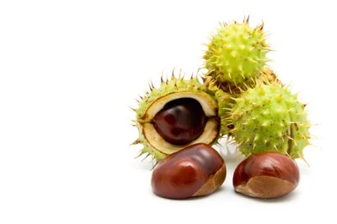 Chestnuts Stock Photos