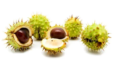 Chestnuts Stock Photos