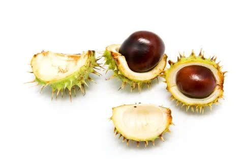 Chestnuts Stock Photos