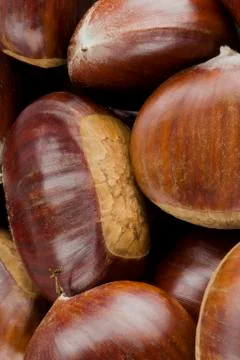 Chestnuts  Stock Photos