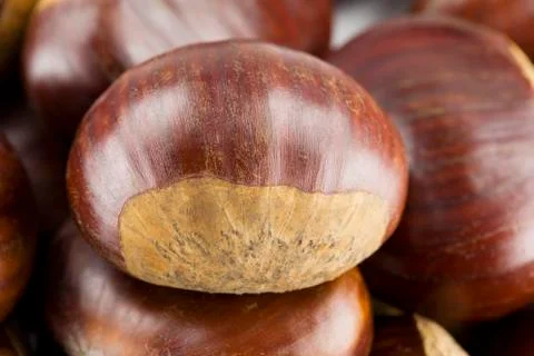 Chestnuts  Stock Photos