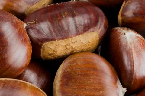 Chestnuts  Stock Photos