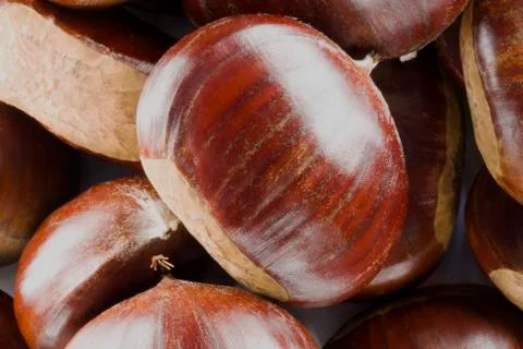 Chestnuts  Stock Photos