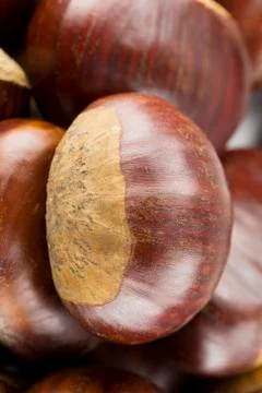Chestnuts  Stock Photos