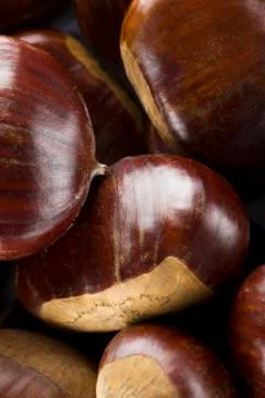 Chestnuts  Stock Photos