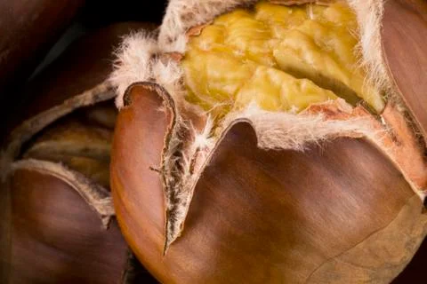 Chestnuts  Stock Photos