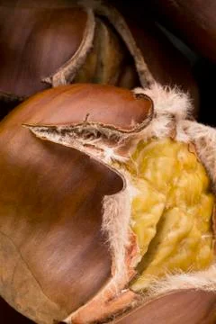 Chestnuts  Stock Photos