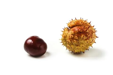 Chestnuts Stock Photos
