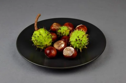 Chestnuts Stock Photos