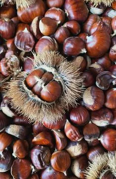 Chestnuts Foto stock