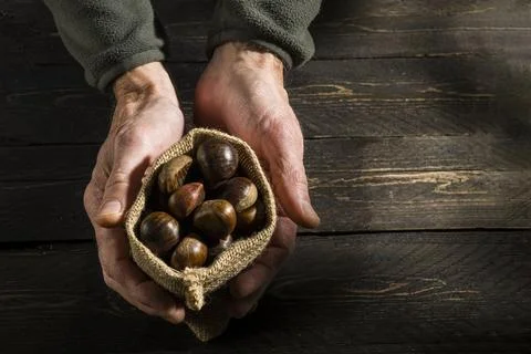 Chestnuts Stock Photos