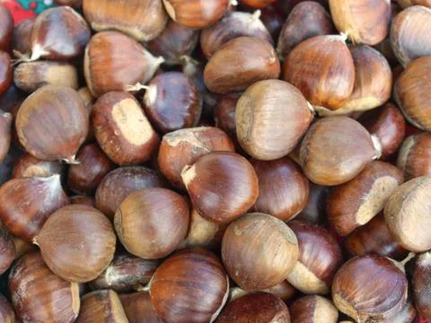 Chestnuts picture Stock Photos