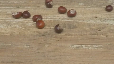 Chestnuts placed on a rustic wooden surface, showcasing their natural beauty and Stock Footage 286040147