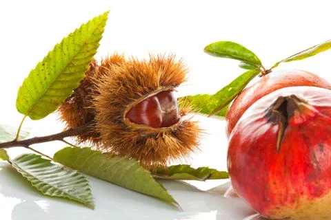Chestnuts with pomegranate Stock Photos