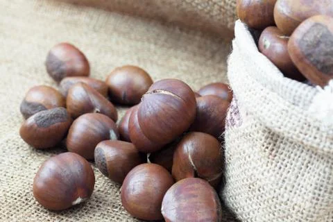 Chestnuts roasted on sack. Stock Photos