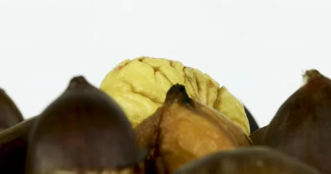 Chestnuts rotating on white background Stock Footage 146442629