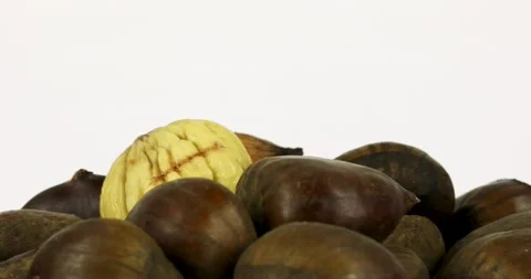 Chestnuts rotating on white background 動画素材 146442667