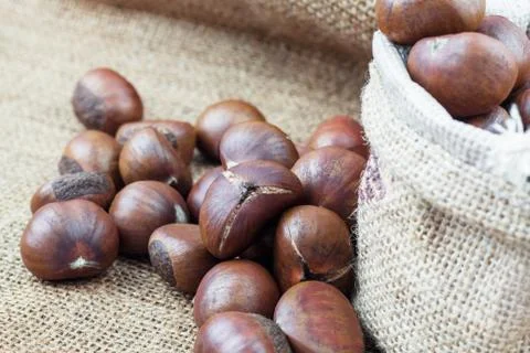 Chestnuts on sack. Stock Photos