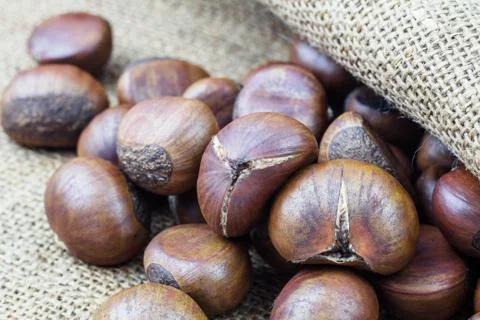 Chestnuts on sack. Stock Photos