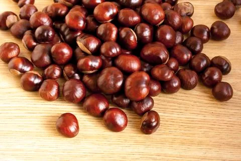 Chestnuts scattered on the floor Stock Photos