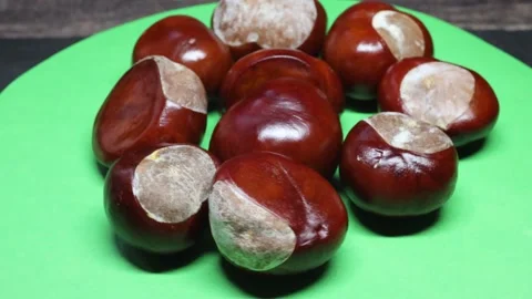 Chestnuts with a shiny brown shell Video stock 346294900